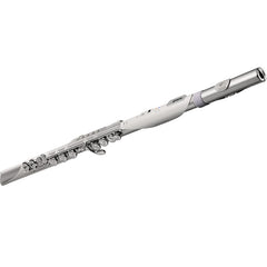 Roland Aerophone Brisa Digital Flute