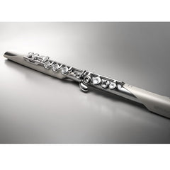 Roland Aerophone Brisa Digital Flute