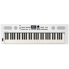 Roland GO:KEYS 5 - Music Creation Keyboard