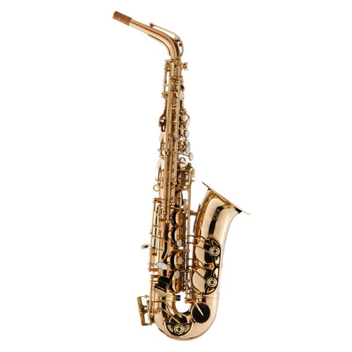 Schagerl 355 Advanced Student Eb Alto Saxophone