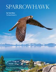 Sparrow Hawk, Ted Allen Concert Band Grade 3-Concert Band-Grand Mesa Music-Engadine Music