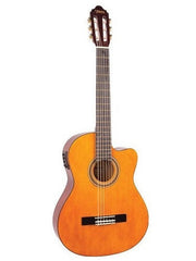 Valencia 100 Series 4/4 Size Classical Guitar - Electric Acoustic Variations