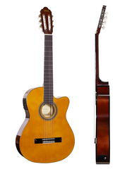 Valencia 100 Series 4/4 Size Classical Guitar - Electric Acoustic Variations