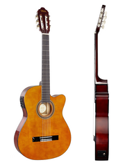 Valencia 100 Series 4/4 Size Classical Guitar - Electric Acoustic Variations