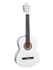 Valencia 100 Series Classical Guitar - Various
