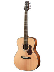 Walden Natura 550 Acoustic Guitar - Various