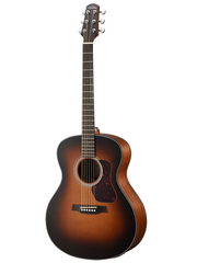 Walden Natura 570 Acoustic Electric Guitar - Various