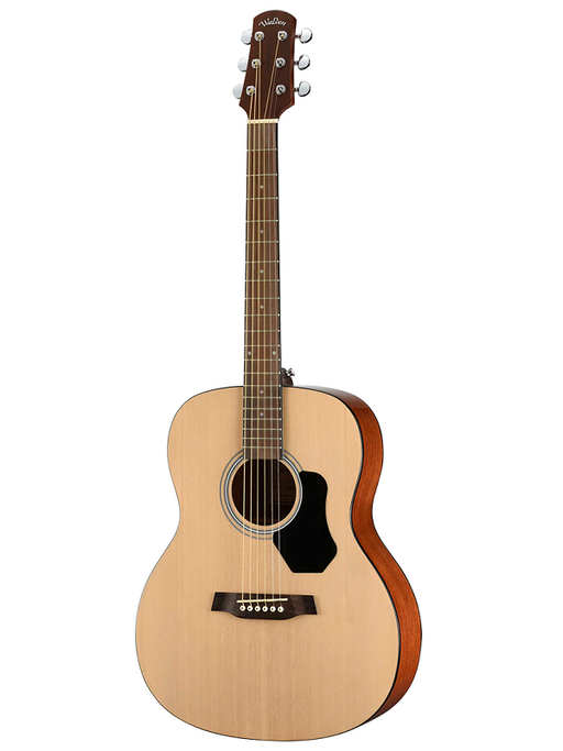 Walden Standard 350 Acoustic Guitar - Various
