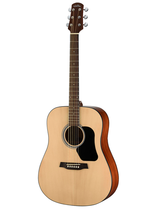 Walden Standard 450 Acoustic Guitar - Various
