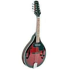 Bryden Electric Acoustic Arch Top Mandolin